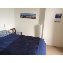 Lovely Room in a secure Victorian house with secluded garden