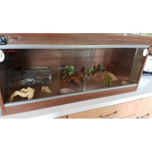 3 Foot Vivarium Full Set Up and Extras