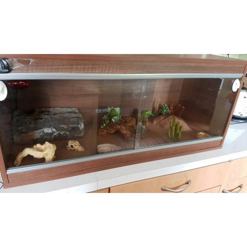 3 Foot Vivarium Full Set Up and Extras