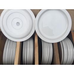 White Dinner Plate