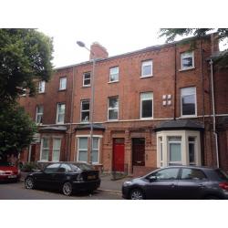 Huge private double room in bright city centre apartment!!!
