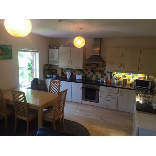 Huge private double room in bright city centre apartment!!!