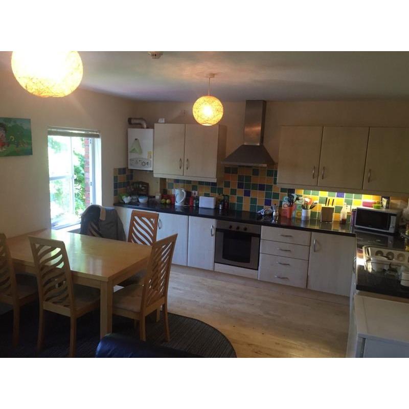 Huge private double room in bright city centre apartment!!!