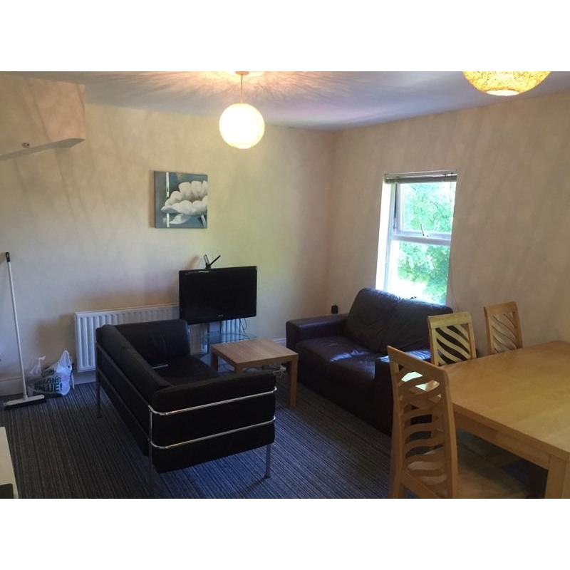 Huge private double room in bright city centre apartment!!!