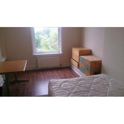 Room to Rent for Festival