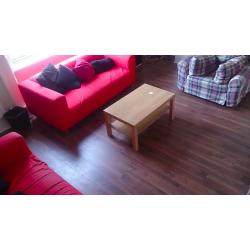 Room to Rent for Festival
