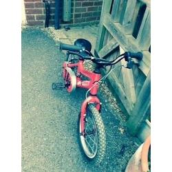 Ridgeback MX14 bike