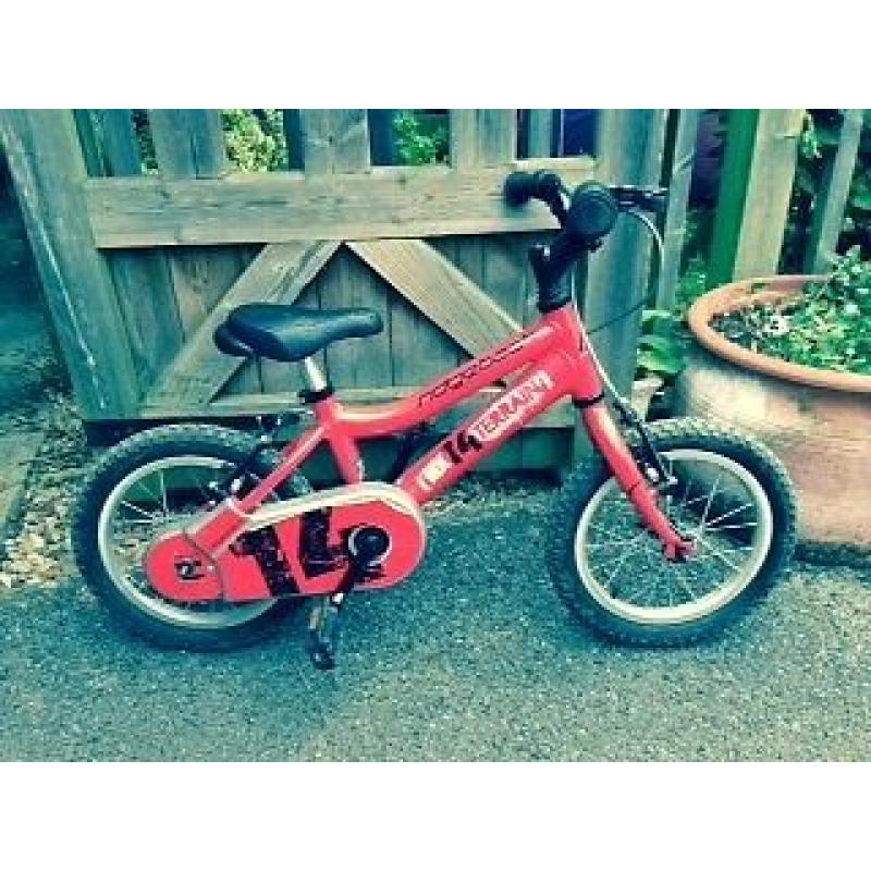 Ridgeback MX14 bike