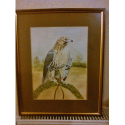 Falcon print