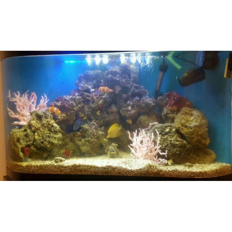 Marine set up