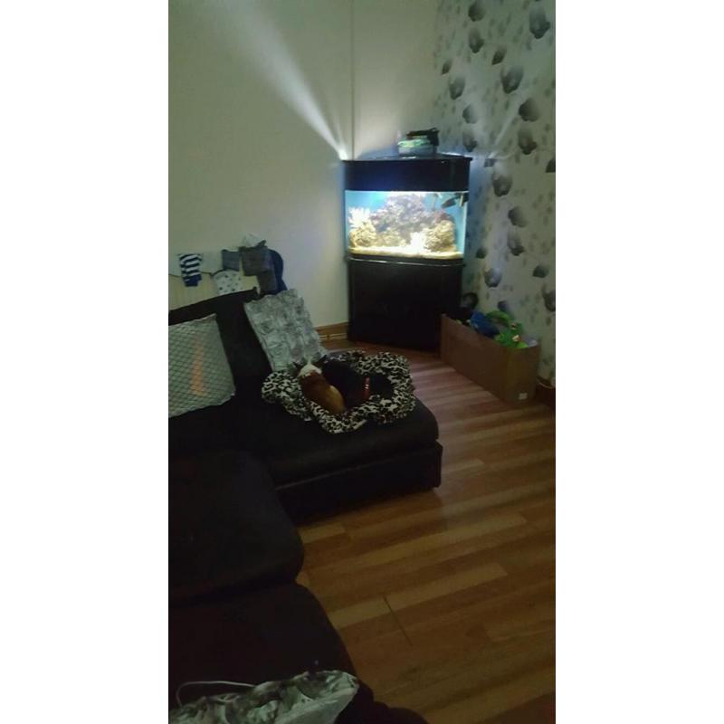 Marine set up