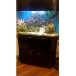 Marine set up