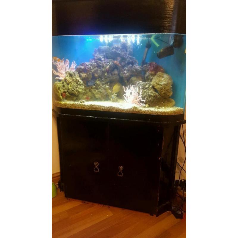 Marine set up