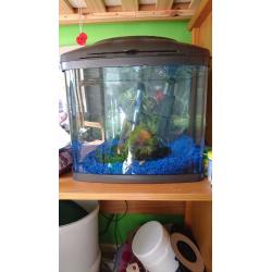 Fish tank