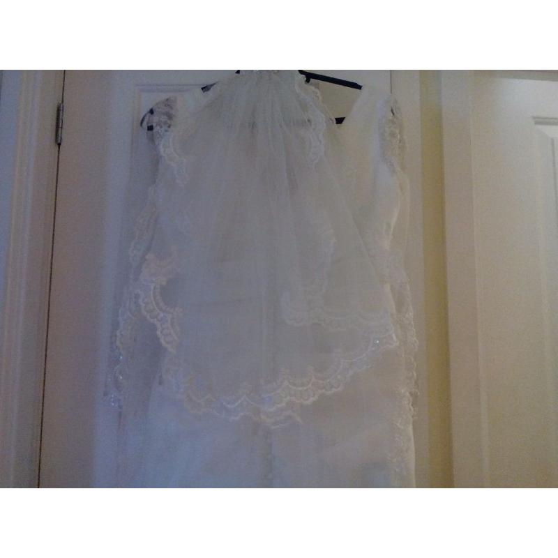 Ivory/cream diamante Wedding Veil and head dress