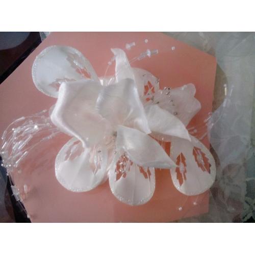 Ivory/cream diamante Wedding Veil and head dress