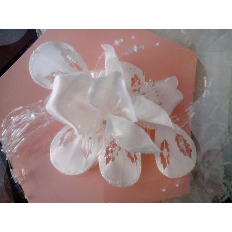Ivory/cream diamante Wedding Veil and head dress
