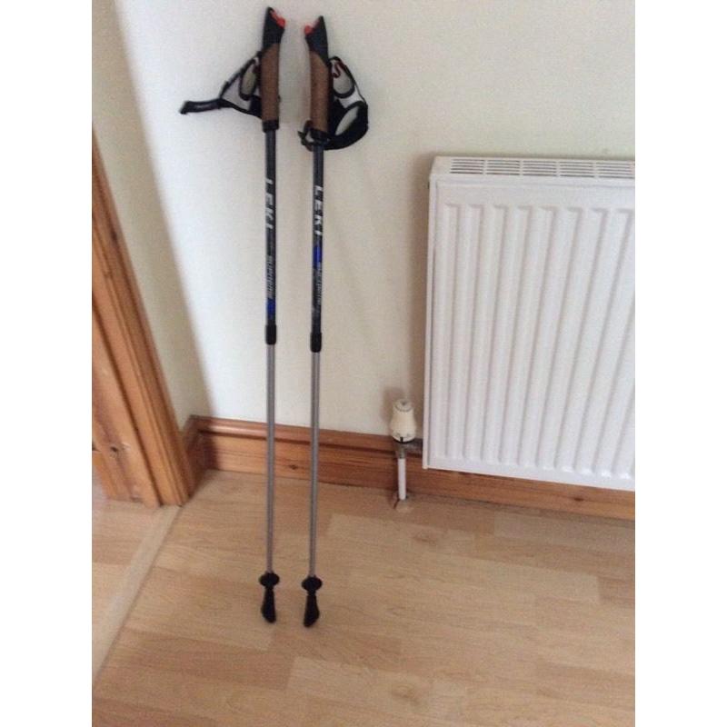 Nordic walking Sticks
