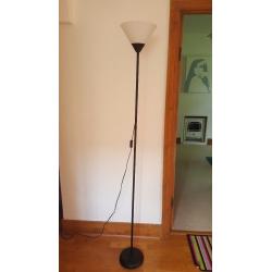 Tall Free Standing Floor lamp Light