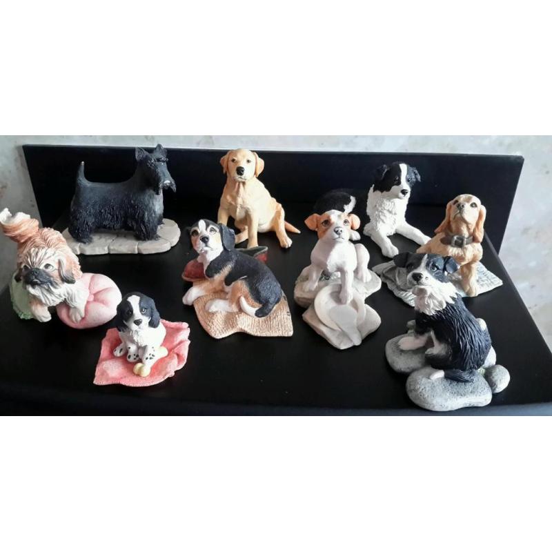 Border fine arts dogs
