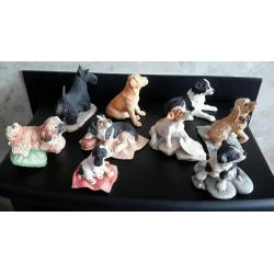 Border fine arts dogs