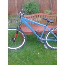 Kona for sale