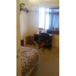 ONE DOUBLE ROOM TO LET IN MILE END