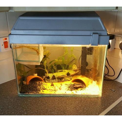 Fish tank