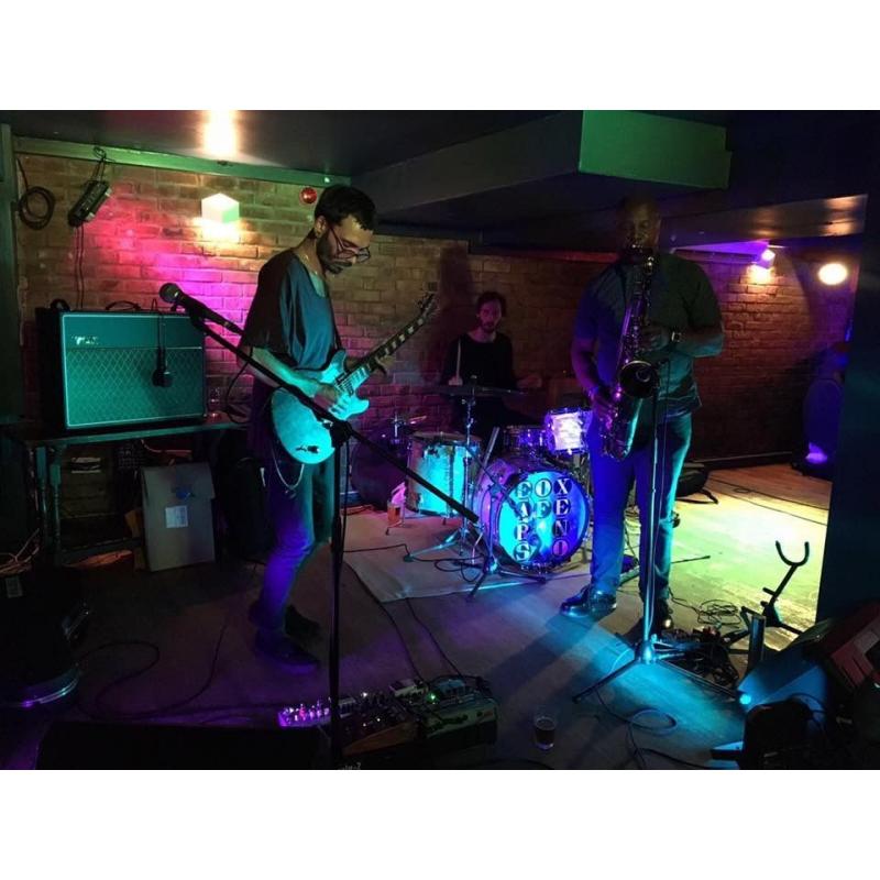 Keys or Bass player wanted for Experimental Jazz Rock - The Ears Of Xeno Group
