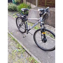 Infineum electric bike