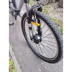 Infineum electric bike