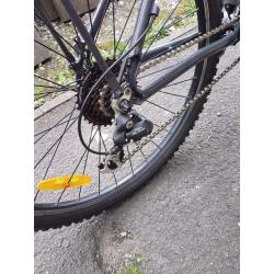 Infineum electric bike