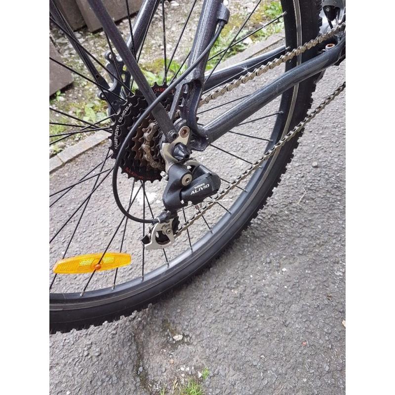 Infineum electric bike