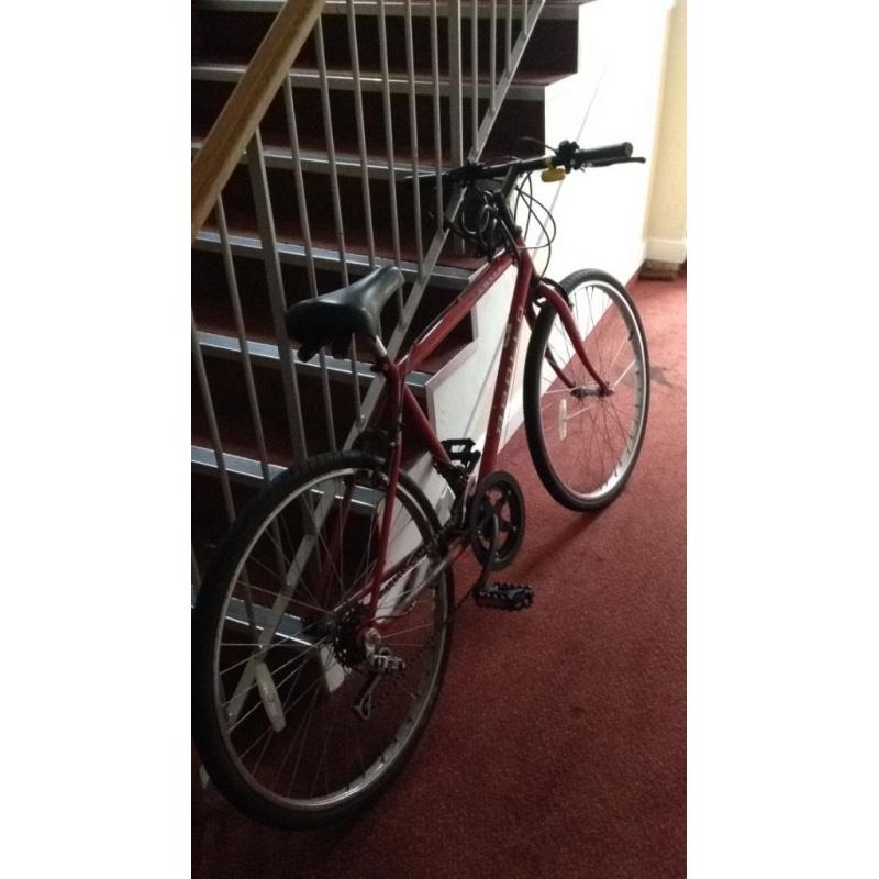 Unisex bicycle for sale