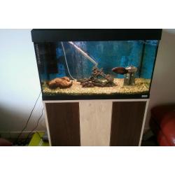 Fluval 125l tank