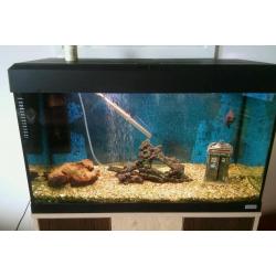 Fluval 125l tank