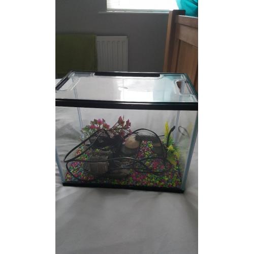 Fish tank and accessories