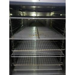 ZANUSSI Combi fcfe G102 2/1 gastronorm 20 Grid combi oven LPG GAS