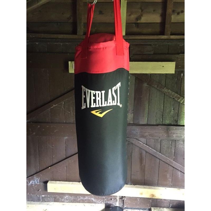 Everlast punch bag