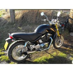 Sachs Roadster 800 New MOT