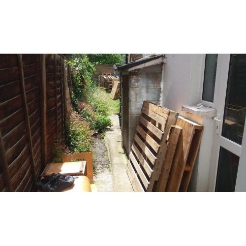 Cheap studio-flat to share near Turnpike Lane Station ASAP