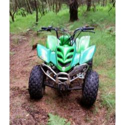 Quad 110cc atv