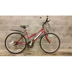 FULLY SERVICED LADY PROBIKE