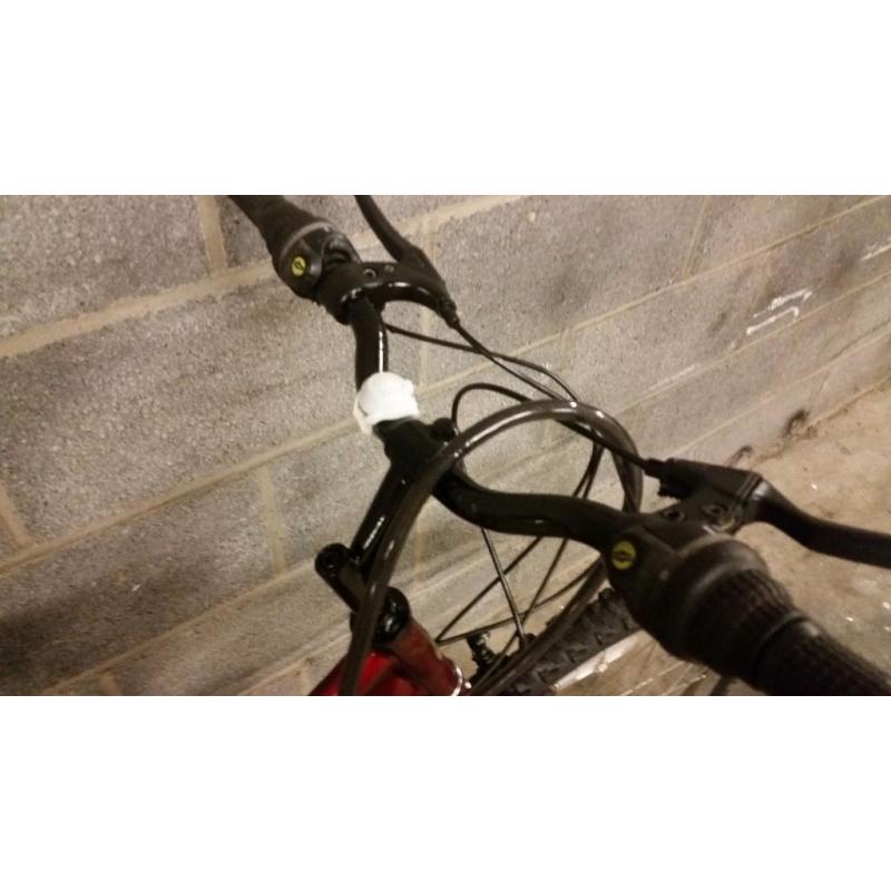FULLY SERVICED LADY PROBIKE