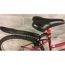 FULLY SERVICED LADY PROBIKE