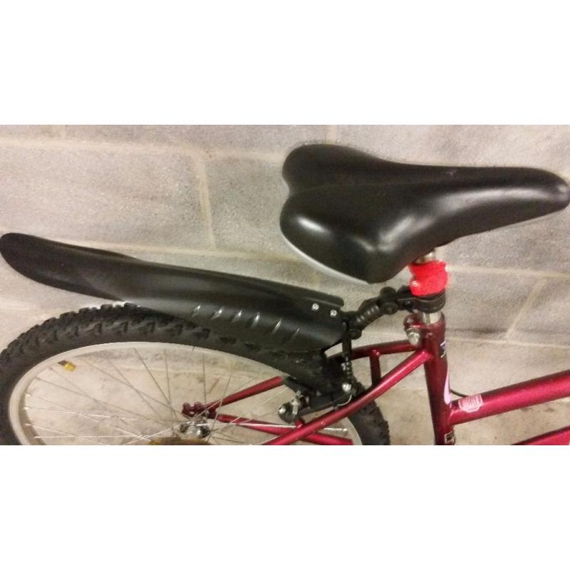 FULLY SERVICED LADY PROBIKE