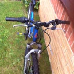 Raleigh Mountain Bike