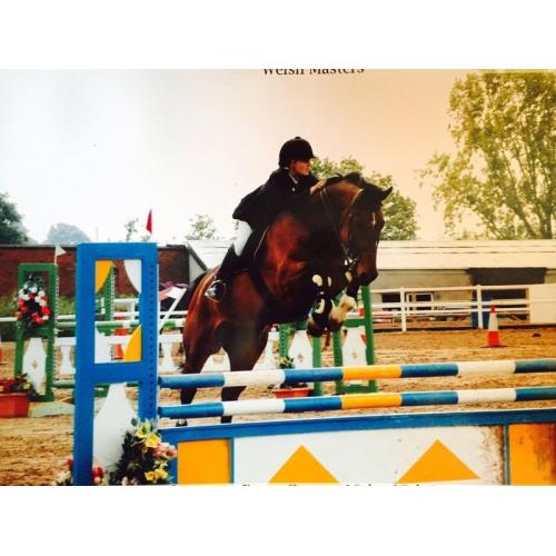 Looking for Full time equestrian job