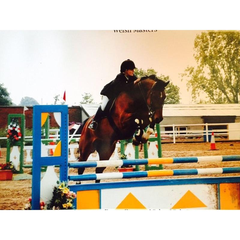 Looking for Full time equestrian job