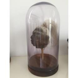 Shrunken head in glass dome